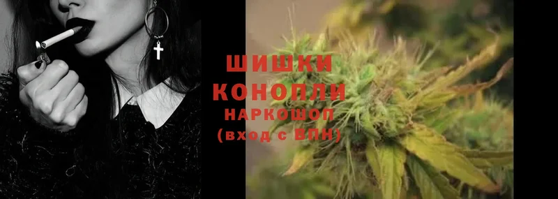 Канабис White Widow  Нарткала 